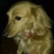 Taka