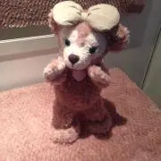 Cの画像