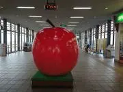Applesyaの画像