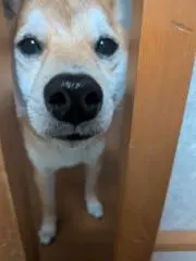 頑張るの画像