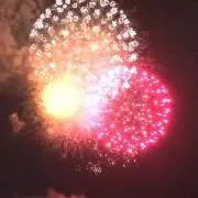 椿時飛びの画像