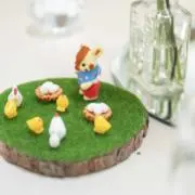 ちょこの画像