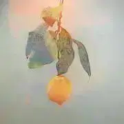 レモンの画像
