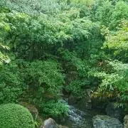 グリンの画像