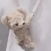 はごろもの画像