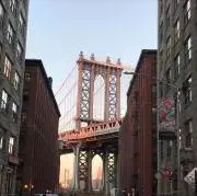 Tの画像