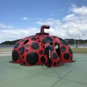 たにやんの画像
