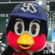 2896