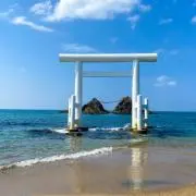 みやの画像