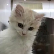 (^○^)