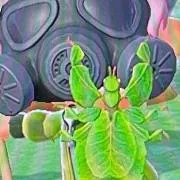 アンヘルの画像