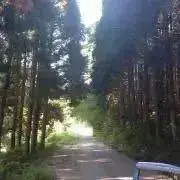 ツクシ坊屋 即購入可能全て早い者勝ちの画像