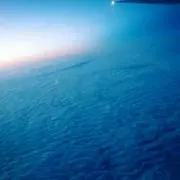 きりんの画像