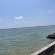 でででででんの画像