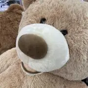 cocoの画像