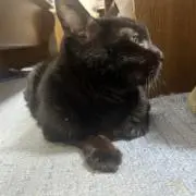 kouの画像