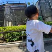 K.141の画像