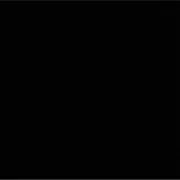 バード　★プロフィール必読の画像
