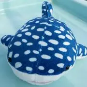 ぇんぇん♡の画像
