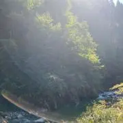 Sの画像