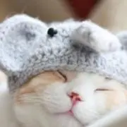 なこの画像