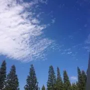 とみん