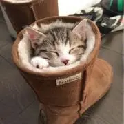 mi-yaの画像