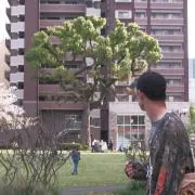 勝山の画像