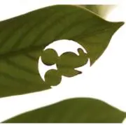 BUFFERINの画像