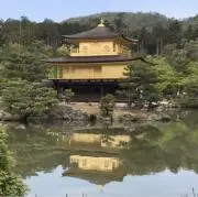 tonchanの画像