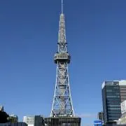さいちょうの画像