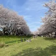 Seeeeの画像