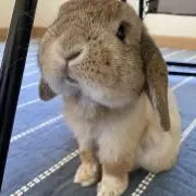 ★断捨離★ご質問はコメントにお願いしますの画像