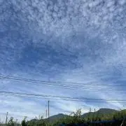 ゆかいな４児ママ