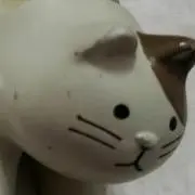 しゃな