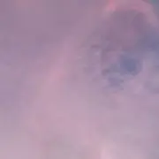 クロミの画像