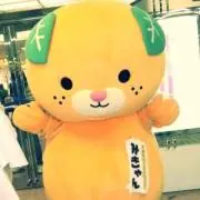 m.sの画像