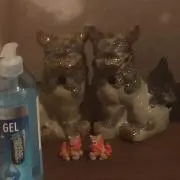 シーサーの画像