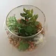 なゆの画像