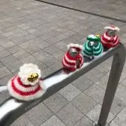 ジンジャーリリー
