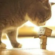 YOUの画像