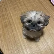 RUI