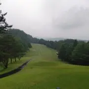 ヨッシーの画像