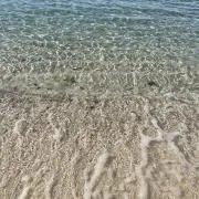 miyuの画像