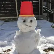 イトーの画像