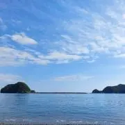 三重の寒梅 琥珀尊（こはくそん）（木箱あり） 父への誕生日プレゼント