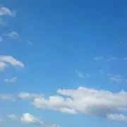 あいぽんたの画像