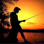 MLF&BASS