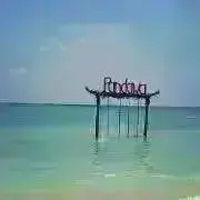 Momoの画像