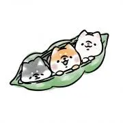こん